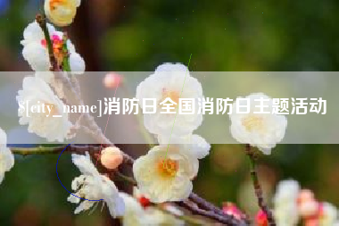湖南消防日全国消防日主题活动
