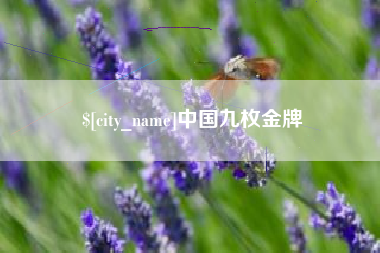 湖南中国九枚金牌
