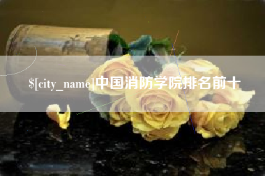 湖南中国消防学院排名前十