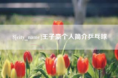 湖南王子豪个人简介乒乓球