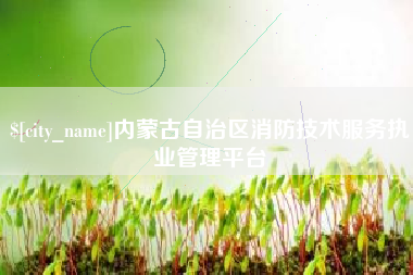 湖南内蒙古自治区消防技术服务执业管理平台