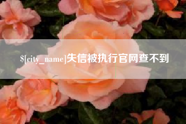 湖南失信被执行官网查不到