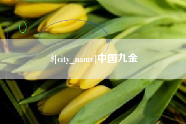 湖南中国九金