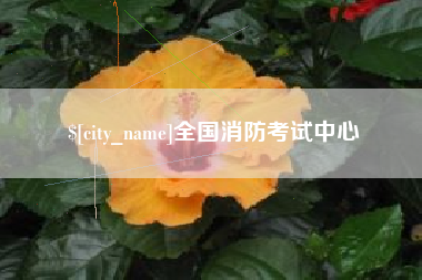 湖南全国消防考试中心