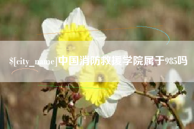 湖南中国消防救援学院属于985吗