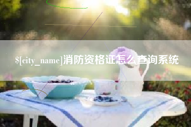 湖南消防资格证怎么查询系统