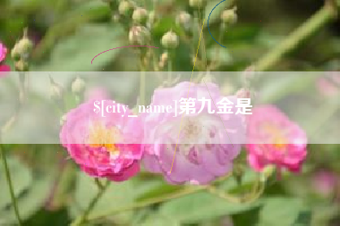 湖南第九金是
