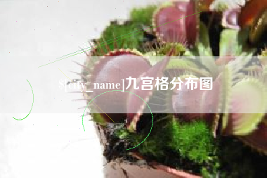 湖南九宫格分布图