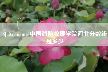 湖南中国消防救援学院河北分数线是多少