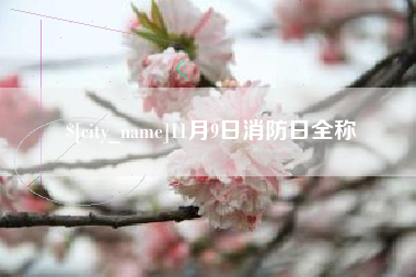 湖南11月9日消防日全称