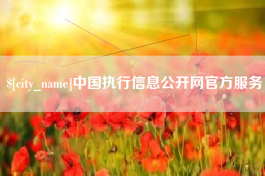 湖南中国执行信息公开网官方服务