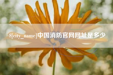 湖南中国消防官网网址是多少