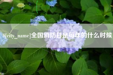 湖南全国消防日是每年的什么时候