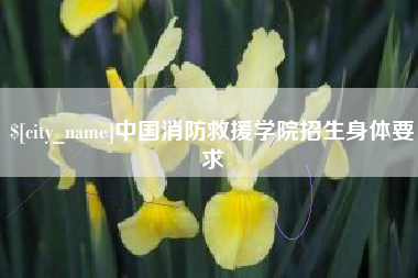 湖南中国消防救援学院招生身体要求