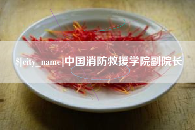 湖南中国消防救援学院副院长