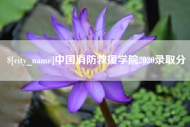 湖南中国消防救援学院2020录取分