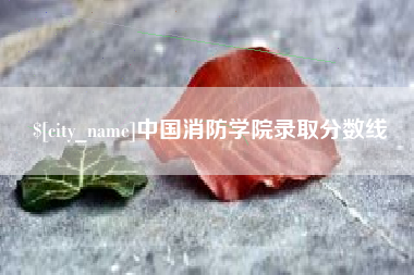 湖南中国消防学院录取分数线