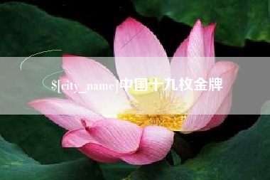湖南中国十九枚金牌