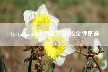 湖南中国拿下第9枚金牌是谁