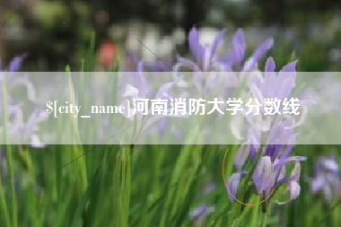 湖南河南消防大学分数线