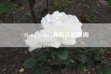 湖南消防证的查询