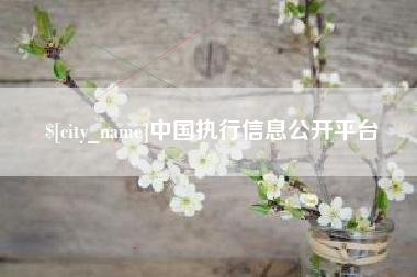 湖南中国执行信息公开平台