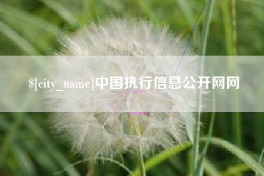 湖南中国执行信息公开网网