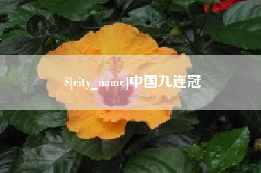 湖南中国九连冠