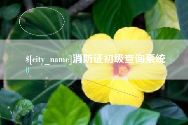 湖南消防证初级查询系统