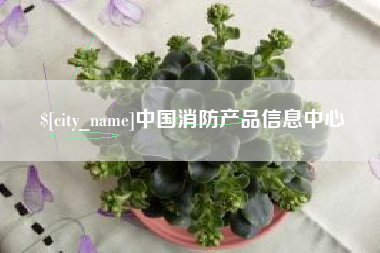 湖南中国消防产品信息中心