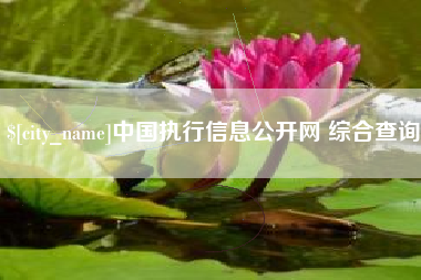 湖南中国执行信息公开网 综合查询