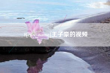 湖南王子豪的视频