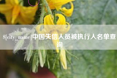 湖南中国失信人员被执行人名单查询