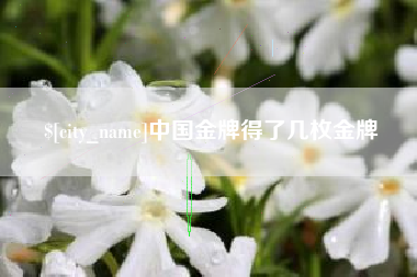 湖南中国金牌得了几枚金牌