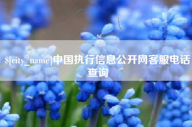 湖南中国执行信息公开网客服电话查询