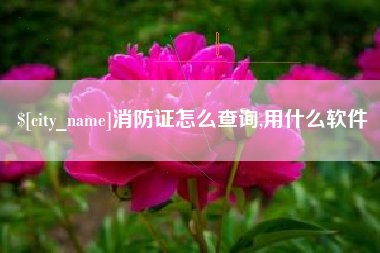 湖南消防证怎么查询,用什么软件