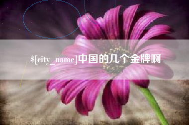 湖南中国的几个金牌啊
