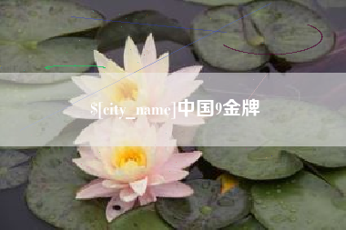 湖南中国9金牌