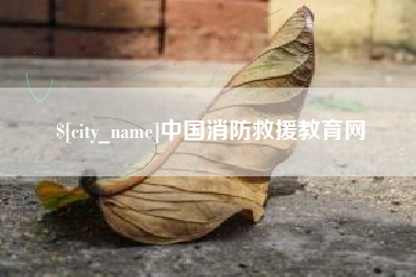 湖南中国消防救援教育网