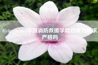 湖南中国消防救援学院对视力要求严格吗