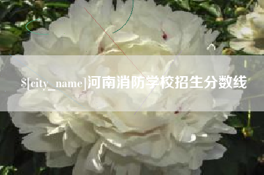 湖南河南消防学校招生分数线