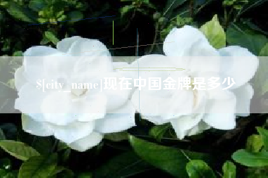 湖南现在中国金牌是多少