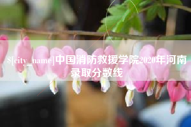 湖南中国消防救援学院2020年河南录取分数线