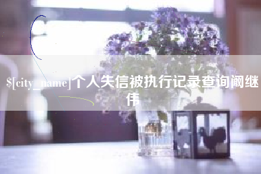 湖南个人失信被执行记录查询阚继伟