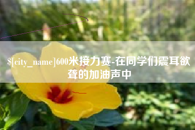 湖南600米接力赛-在同学们震耳欲聋的加油声中