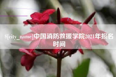 湖南中国消防救援学院2021年报名时间