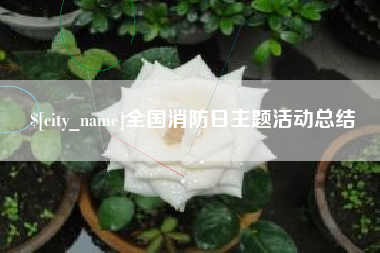 湖南全国消防日主题活动总结