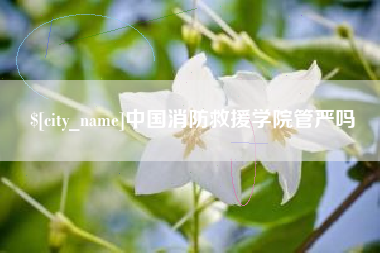 湖南中国消防救援学院管严吗