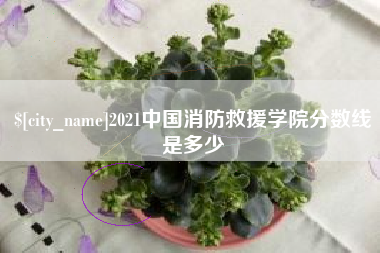 湖南2021中国消防救援学院分数线是多少