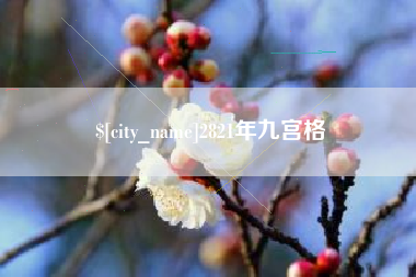 湖南2821年九宫格